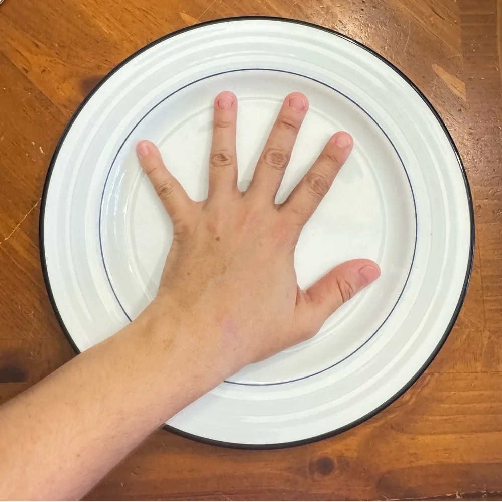 Lot of 2 Crate & Barrel Spal Porcelain Roulette Blue Trim 10 5/8” Dinner Plate